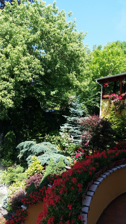 Pensiunea Europa Târgu-Mureş Zewnętrze zdjęcie